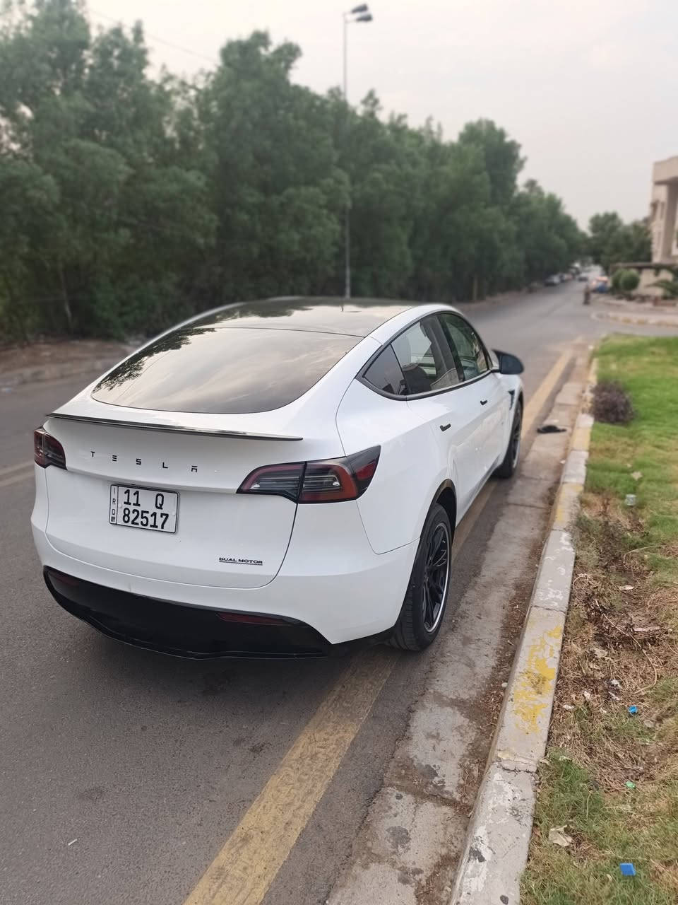 تسلا Y • ٢٠٢٣ • دبل ماطور