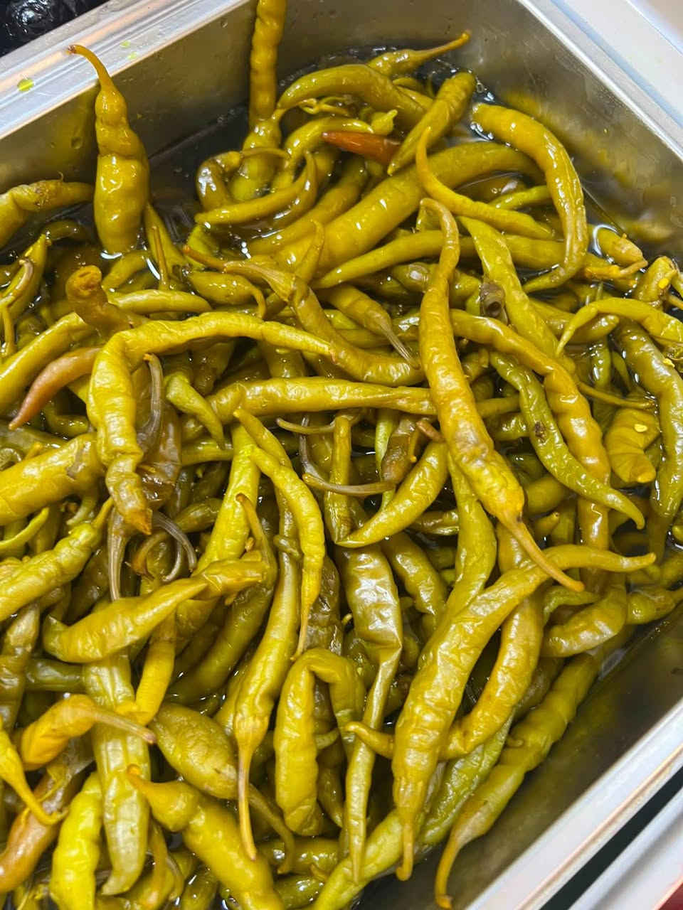 طرشي • طازج • شارع الخليج