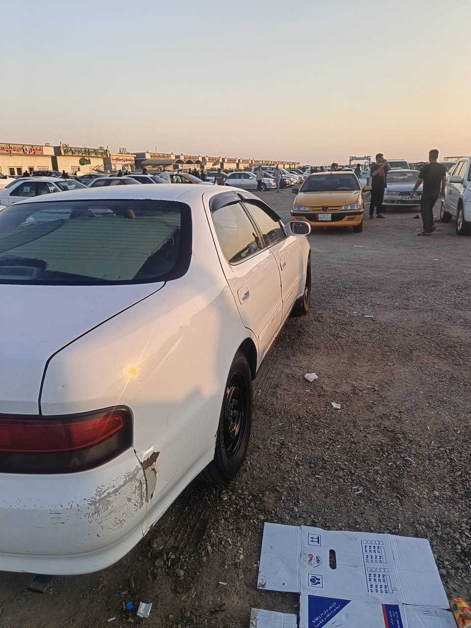 كرستة • كفالة سنة • سنوية ٢٠٢٩