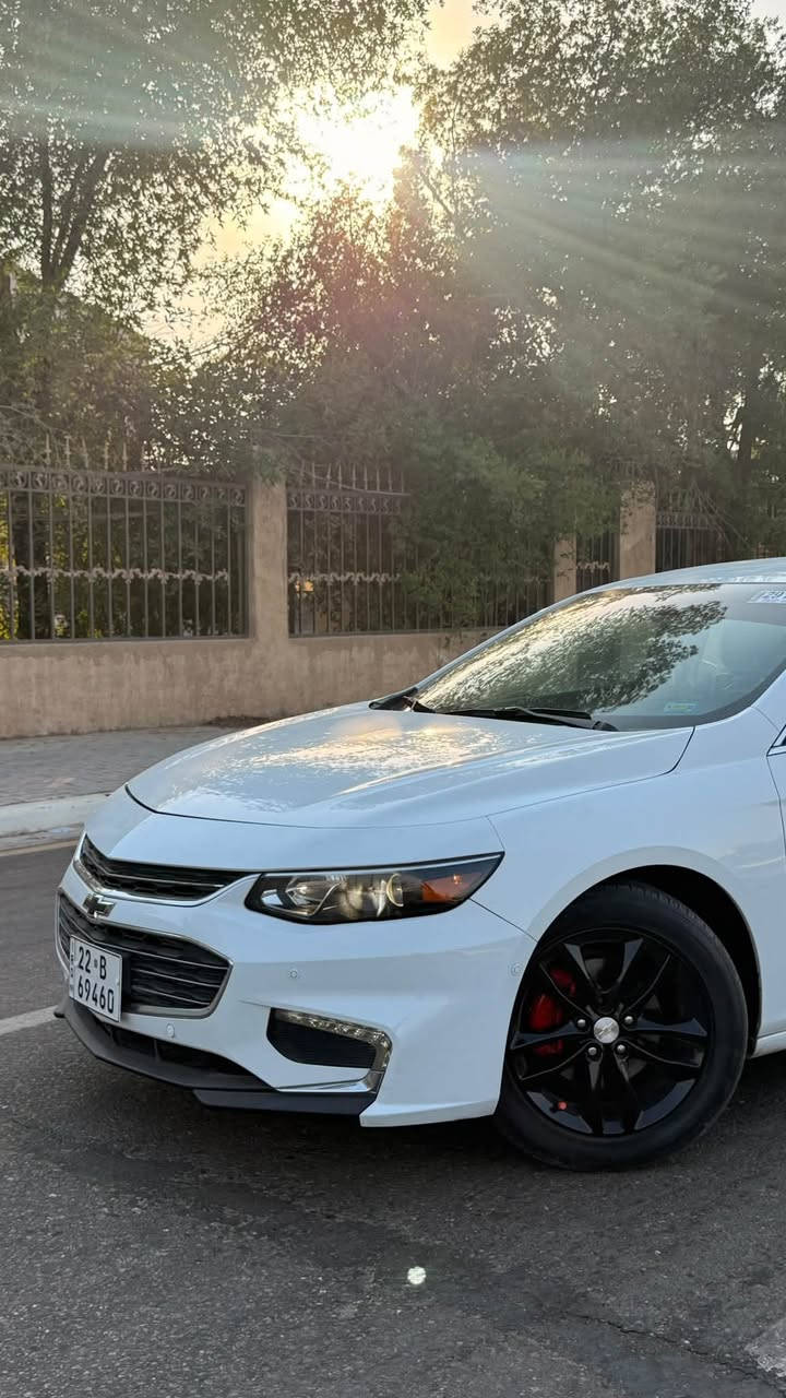 🔥 ماليبو 2018 | للبيع 🔥

🚘 جداً نظيفة وحلوة
✨ صبغ بنيد وجاملخ ونص ربع باب بدون داخل كفاله
📡 السونار موجود
💎 باقي السيارة مرتبة ونظيفة

❄️ التبريد ممتاز
⚙️ الكير والمحرك والحدادية بحالة الوكاله
🛡️ كفالة وجدد

📍 الموقع: كربلاء
💰 السعر: 100 ورقة، قابل للتفاوض

📌 الممشى: 130 km
📄 رقم اللوحة: رقم اربيل بسمي تريد وكاله تريد تحويل  

📩 للاستفسار والتفاصيل: ***********
