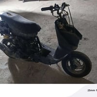 فراشه ضفيره • سلف • عوزه بطاريه