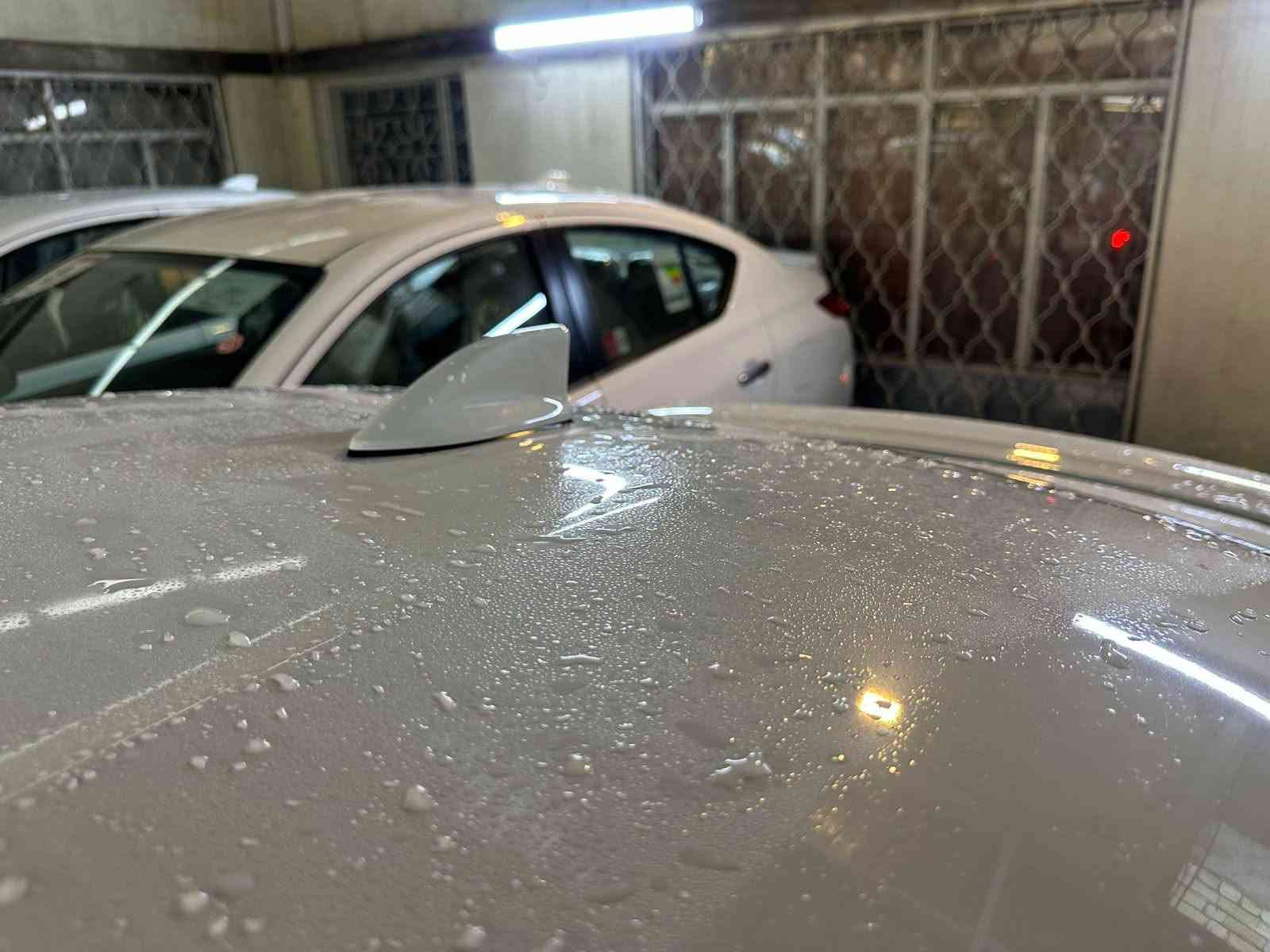 نيسان صني • ٢٠٢٥ • رقم اربيل