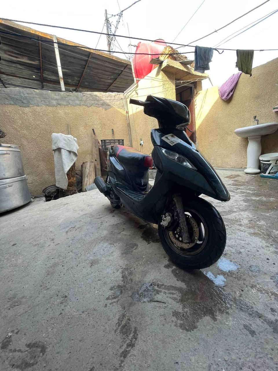 ثعلب • GTR • أصليه