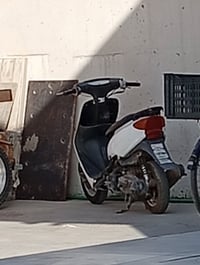 ٦٠ • عاطلة • تفصيخ