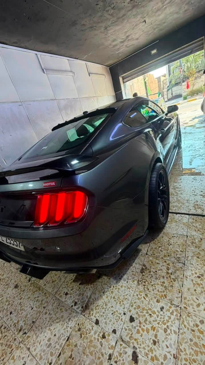 #احسلك_من_فورتي_جيتي_زلامية

موستانك جي تي بريميوم 2017

كزوزات من علي الوادي بوابات واكس بايب وداون بايب
لايتات متغير بالتلفون مشتغلها يم ياسر سبارك

شوتة امريكية airaid

وبرمجة سيفتي

ويالة 18 جدد من احمد رمزي

تايرات جدد

صدر امامي جديد
وياها فيت بم مال تفصيخ

ماشية 142000km
بيها خمس قطع صبغ 

*********** بغداد الكاظمية

رقم  شاصي 1FA6P8CF7H5321526
