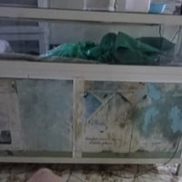 ميز موبايلات • عدد ٢