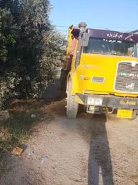 مان • شاحنة • ١٩٨٢