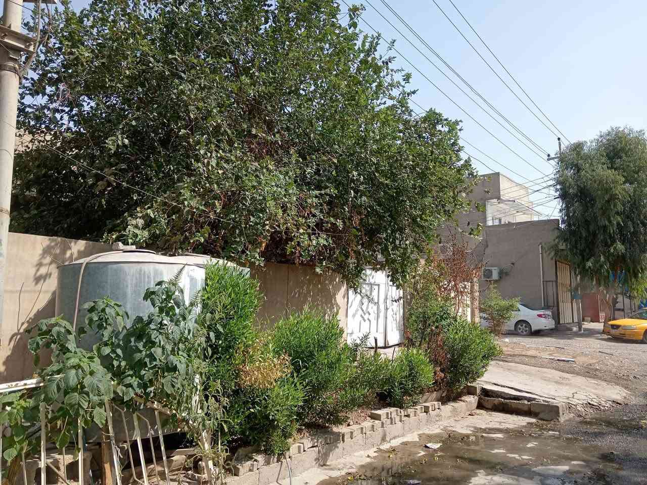 كركوك • طابو • ٣٠٠م ركن
