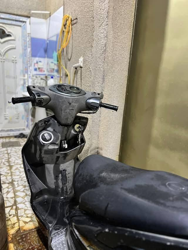 سكنس فحل • كولد • موديل ١٢
