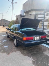 أرنب طويل • ١٩٩٥ • بصره حمدان