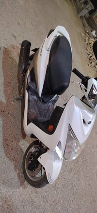 سكنس فحل • رمبة • كفالة