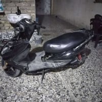 سكنس فحل • نكرة • معدل