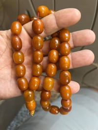 كهرب بولوني • حرة طبيعي • ٧٩ غرام