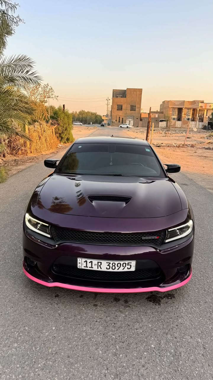 سلام عليكم مكلف بل نشر
الفئه/ GT🔥
موديل/ 2022
لون/ بنفسجي🟣
المشي/40mi مشي امريكا
مري هيتر
حساسات جانبيه
كشنات مخمل حضن
شاشه جبيره
سوبر تراك باك
ويل GT قياس 20
تخم تاير جديد
كير حداديه تبريد شواصي دواخل حوض ايرباك كله كفاله

دخول جديد ماصارلها هواي من ترقمت يعني على مشي امريكا
ماعايزه برغي واحد رقم بغداد مداور مباشر 
الضرر/ قبق جنطه وجاملغ خلفي بدون كص بدون لحيم بجم كبس بدون دواخل بدون ايرباك حادث خفيف
السعر 230 وبيها مجال ماكو بنضافتها ونفس حادثها بهيج سعر
للاستفسار خاص او ***********
