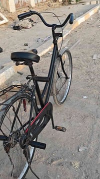 مراوس • باوفيج • ألوان