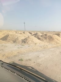 تبن • درجه اولى • مندلي