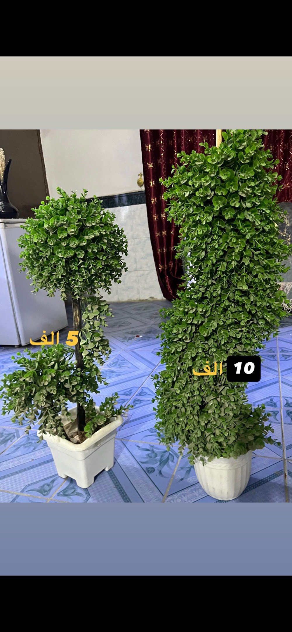 راسلني