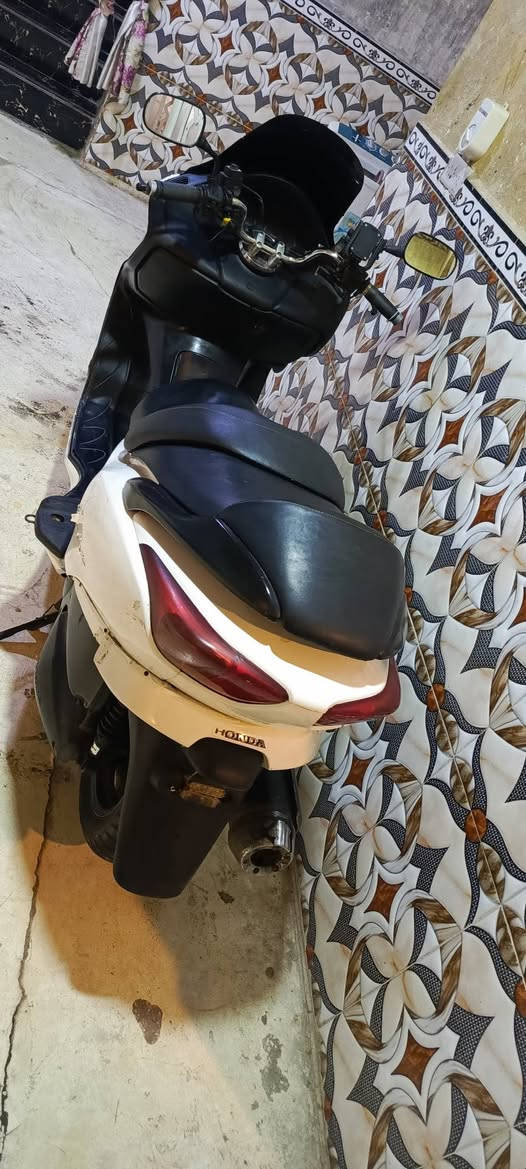 فورزه • كرستال • الزبير