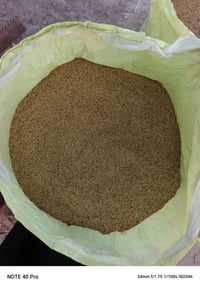 البيع برسيم عراقي نضافته 100/90   سعر اتصل على الرقم 07801454866.المكا...