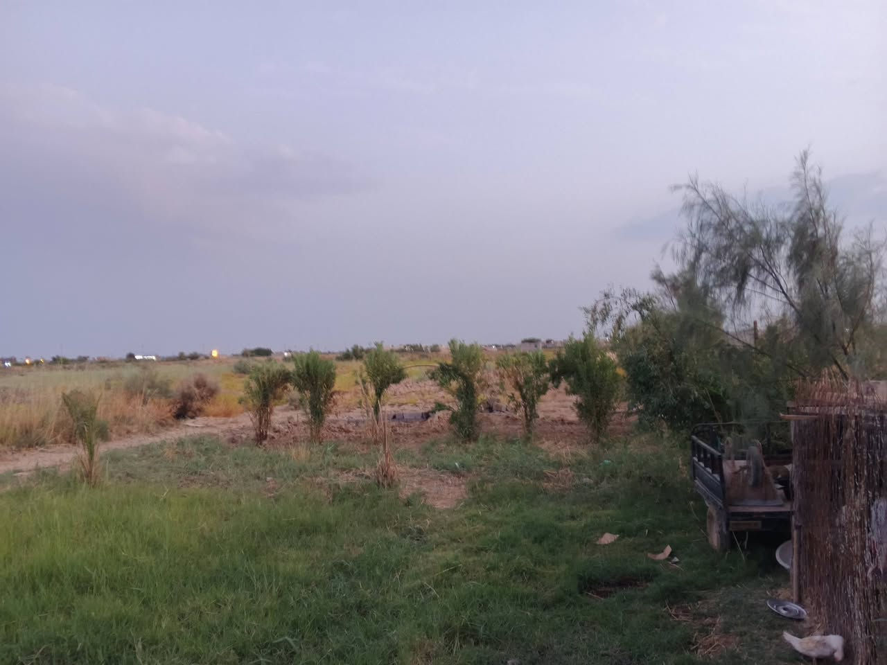 ميسان • دونم ونص • بناء ٢٠٢٤