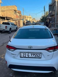 كورلا • ٢٠٢١ • رقم اربيل