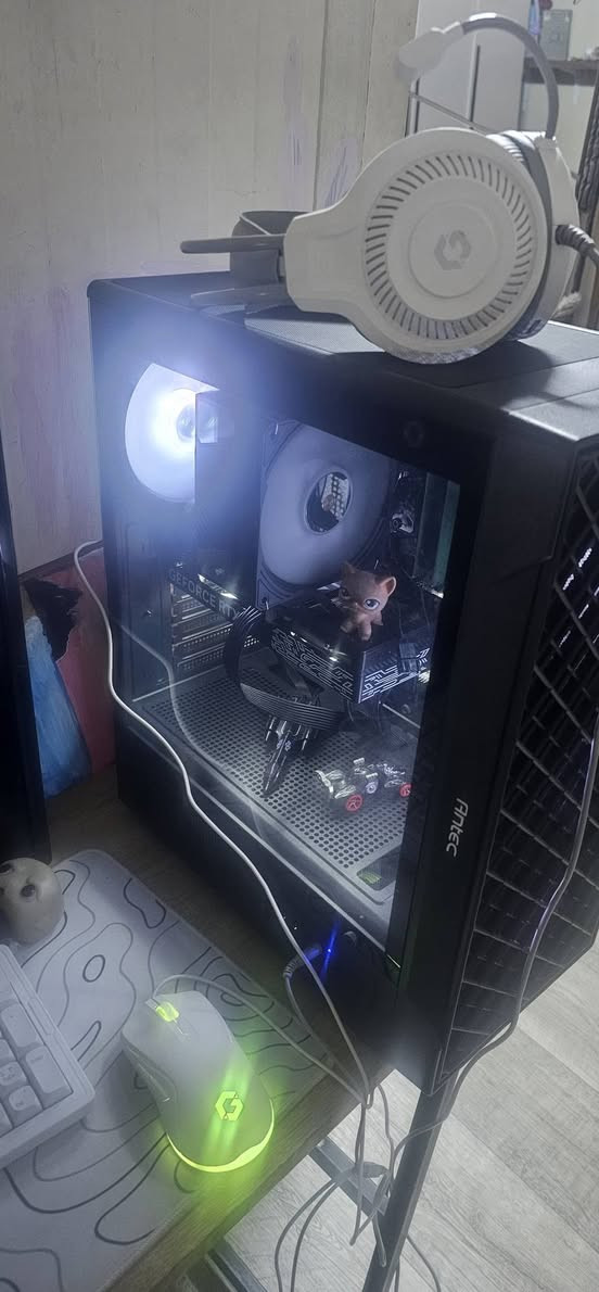 بي سي للبيع جديد هو واغراضة كامل جديد كارت شاشة ٥٠٥٠ti
معالج reyzen 5 5500

باور سبلاي ٨٥٠ واط

ماذر بورد b550 يدعم الانترنيت 

مبرد مائي رامات 32gمساحة ٢تيرا بايت
*********** رقم الاتصال
