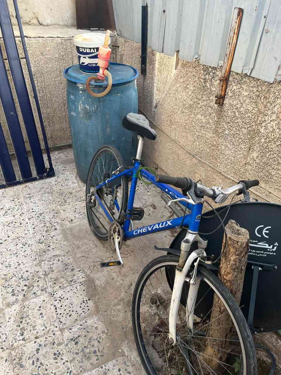 بايسكل • جوبين بنجر فول • نظيف حيل