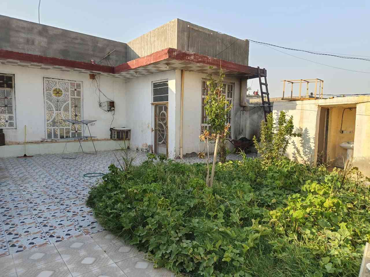 السلام عليكم بيت للبيع في كوت زراعي ١٧ _ حي حكيم _سواده_ مقابل محطه حوشي (الوادي )يحتوي على ٣غرف وديوانية مطبخ صحيات داخليه وخارجية مساحة ٣١٢ متر سعر ٤٢ مليون للستفسار على رقم ***********
