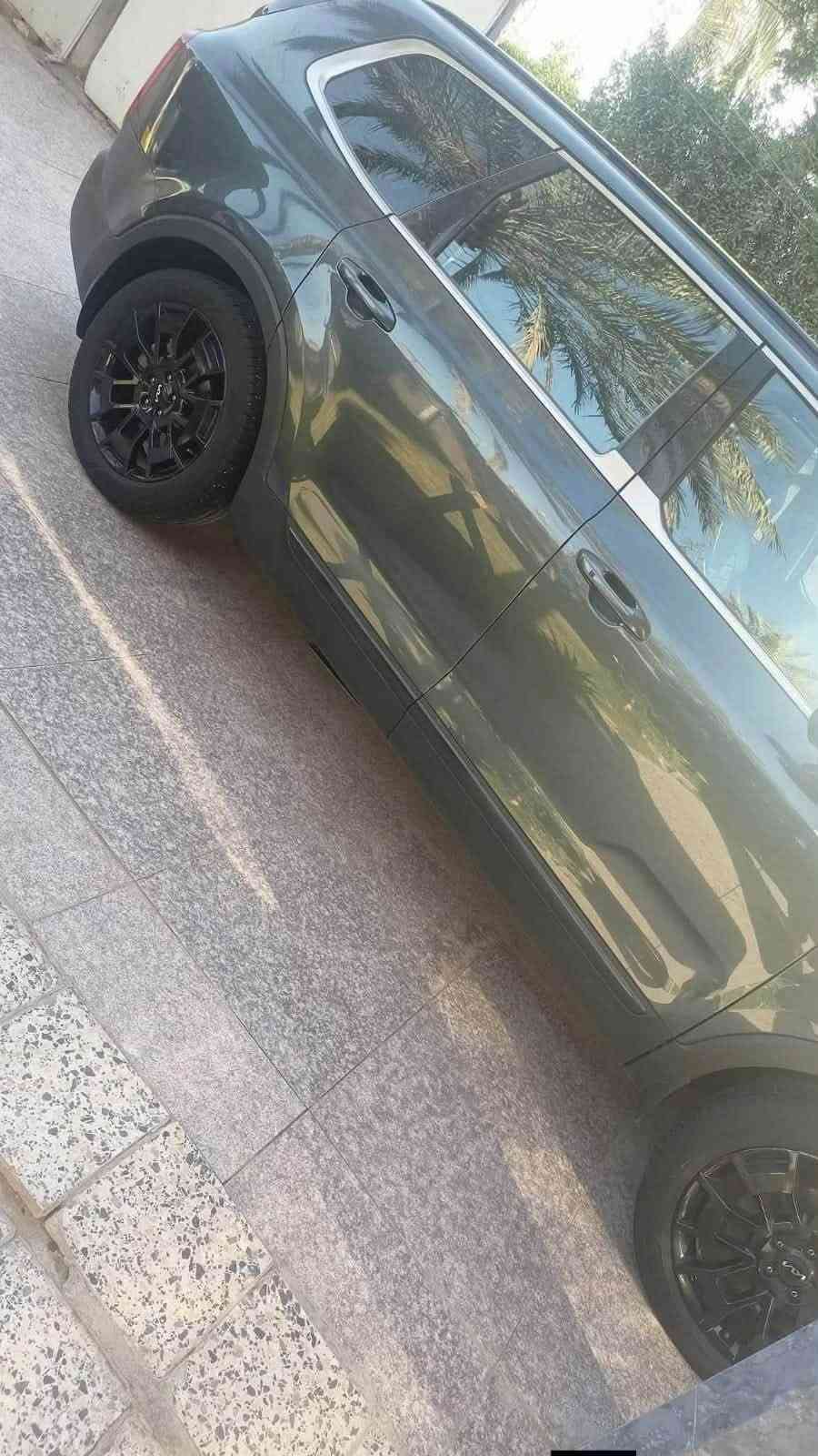 تيلورايد • ٢٠٢٢ • رقم بغداد