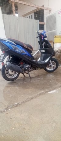 ماكس عدلة • ٤٩ • مجال