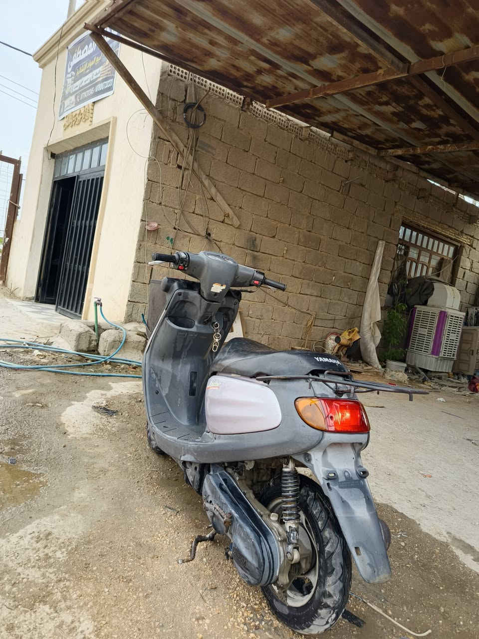 منغولي • جديده • كربلاء