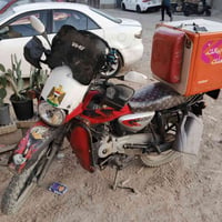 بوكسر جبلي • ٢٠٢٣ • مرقمه