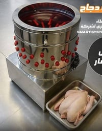 هلاسة دجاج • نظيفة جدا