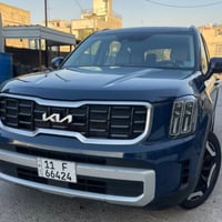 تيلورايد S • ٢٠٢٥ • رقم مميز