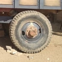 زوج تواير • عشرين • البيضه