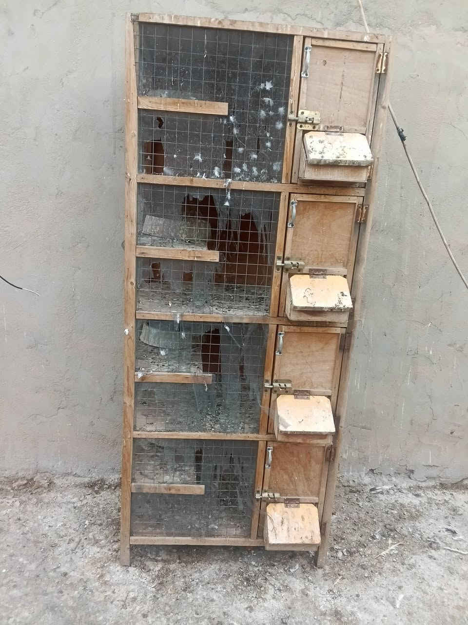 خانات طيور • تاجي ابو عظام • كبيرة وصغيرة
