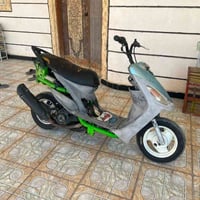 ماكس منغولي • ٥٥ • مكفوله