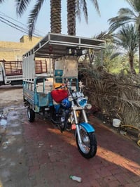 ستوته • مديل 14 • اوراق اصولي