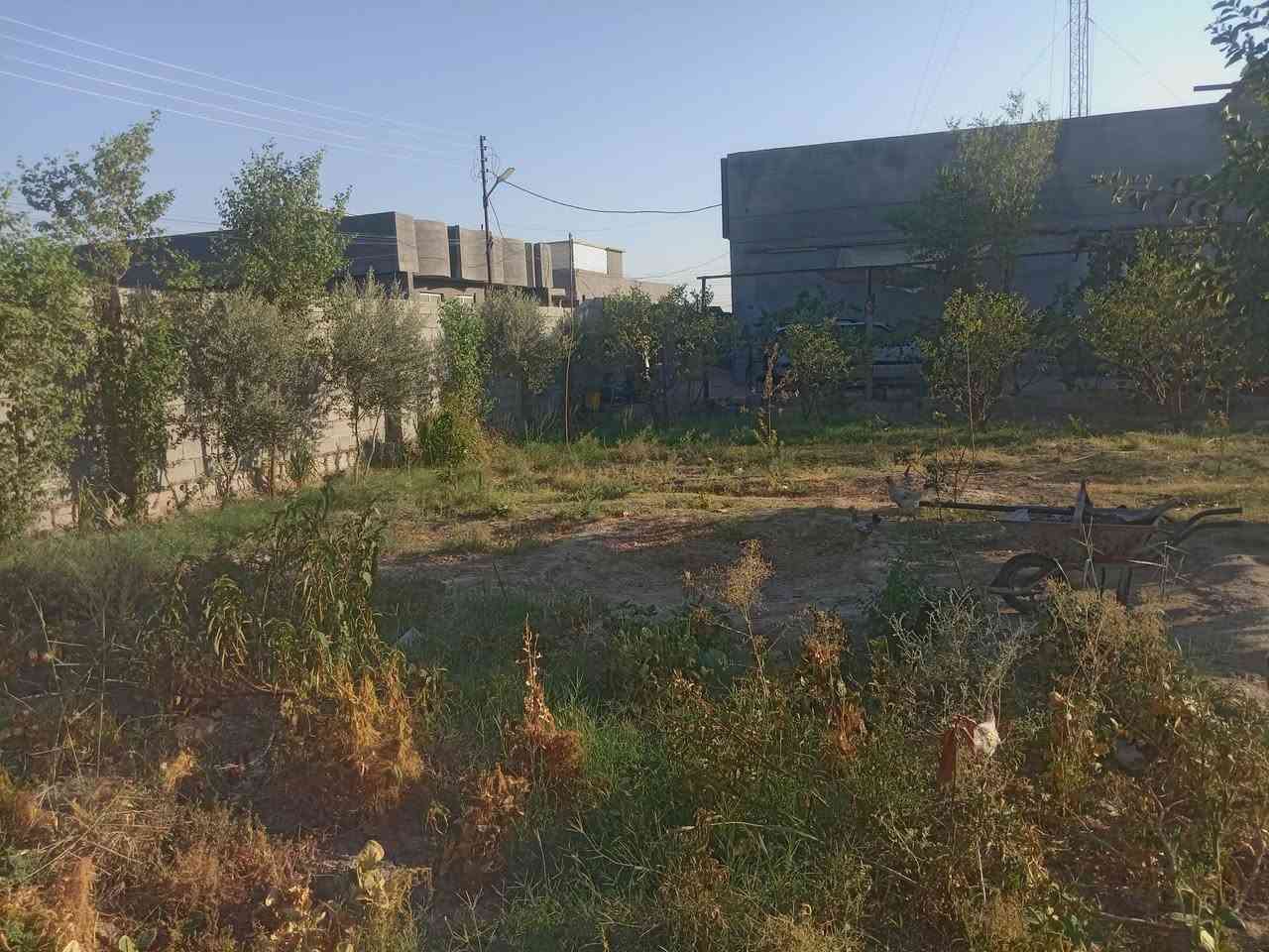 سلام عليكم للبيع نص دونم مع بيت بناء حديث وكامل طابو زراعي ٢٥ خدمات كامله ماء وكهرباء ومولد ذهبي ويوجد برج انتريت على البيت بغداد ابو غريب تبعد عن سريع 5دقايق شيحه خلف بنزين خانه جوهرة عدنان *********** وتساب #للجميع
مراوس بيت حصوه هم يرهم اوقطعه
اريد على ساحه او سايدين او خدمي
***********
