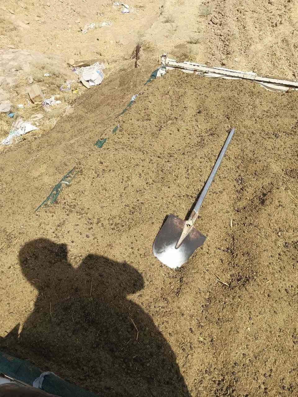 غنم • للبيع • واتساب