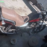 مطور هارلي • ربعه • ولف