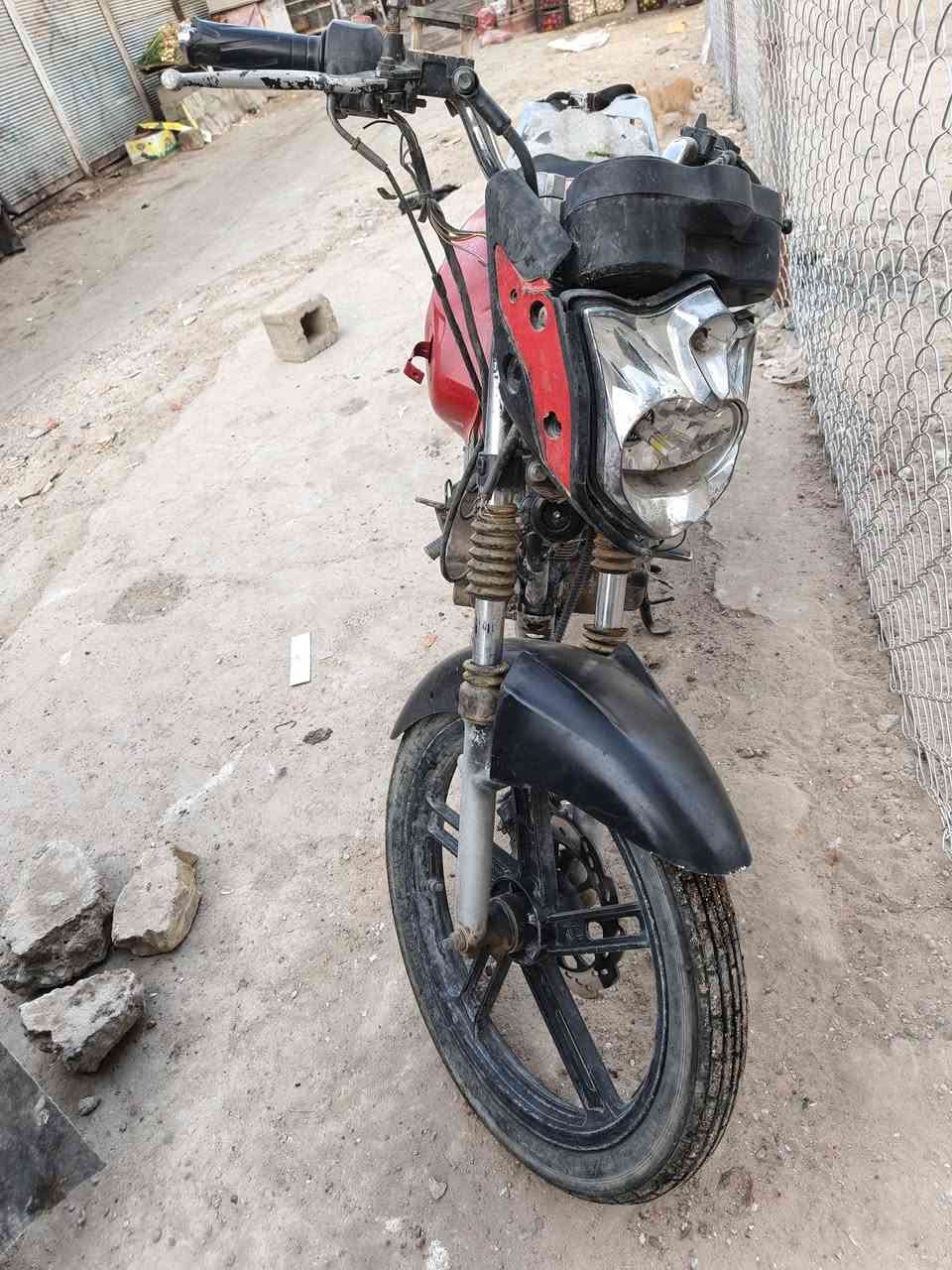 سونك • شغال • ترتيب كهربايات
