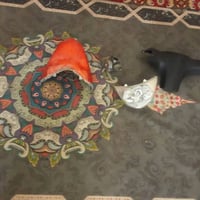 ماكس عدلة • كابريتر • كربلاء