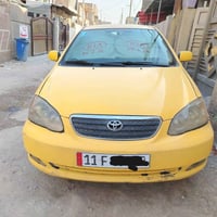 كورلا نحلة • ٢٠٠٨ • بغداد