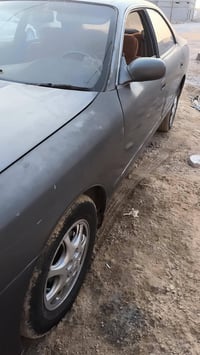 مارك نفخ • ابي الخصيب