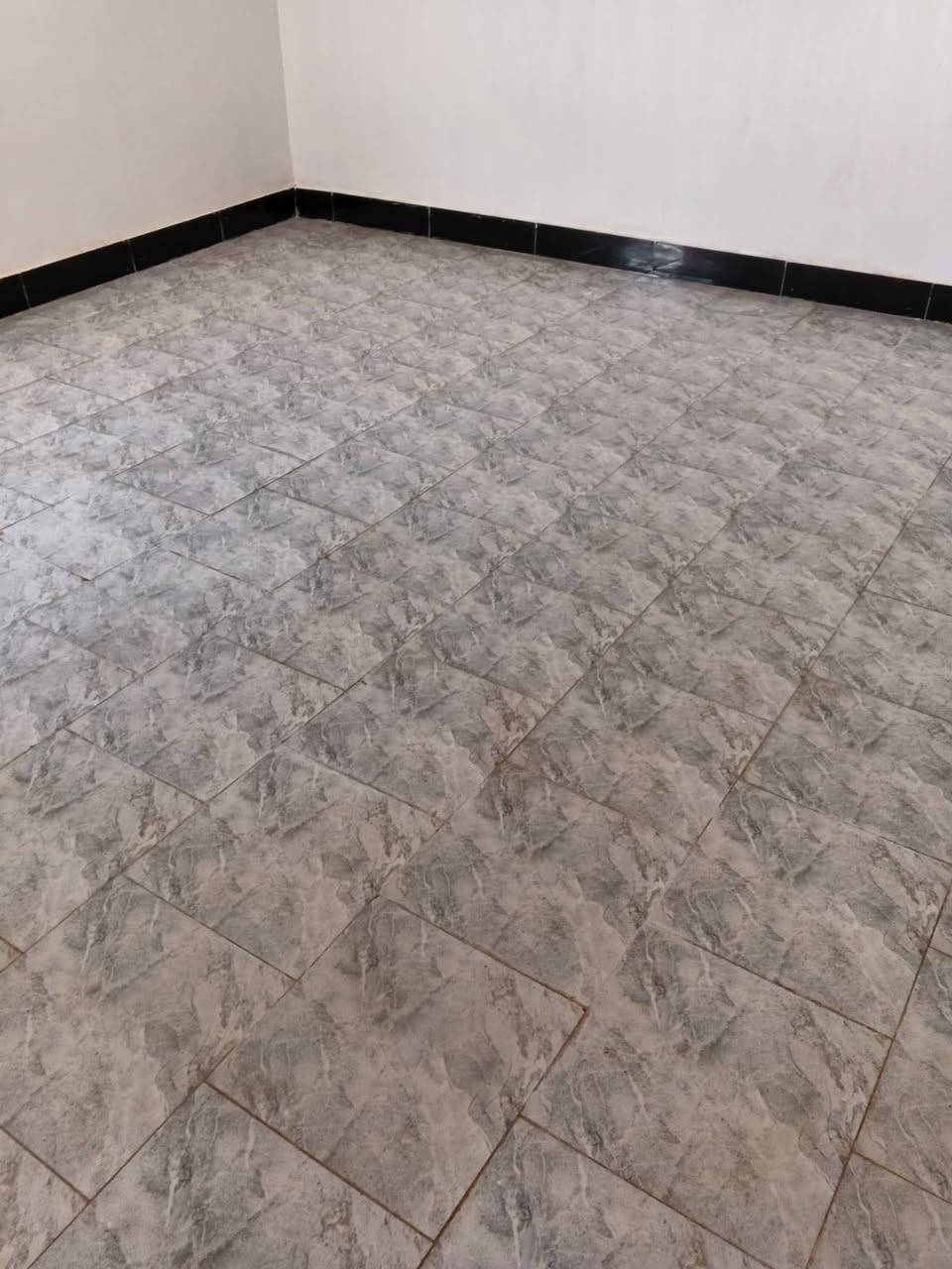 مشتمل خلف مجمع الرحاب على شارع 20 جاهز من كلشي مولد وطنية كيزر تانكي ماطور نظيف جداً بعده ما مسكون السعر ٣٧وبي مجال 
***********واتساب فقط
