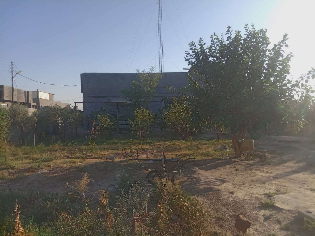 سلام عليكم للبيع نص دونم مع بيت بناء حديث وكامل طابو زراعي ٢٥ خدمات كامله ماء وكهرباء ومولد ذهبي ويوجد برج انتريت على البيت بغداد ابو غريب تبعد عن سريع 5دقايق شيحه خلف بنزين خانه جوهرة عدنان *********** وتساب #للجميع
مراوس بيت حصوه هم يرهم اوقطعه
اريد على ساحه او سايدين او خدمي
***********

