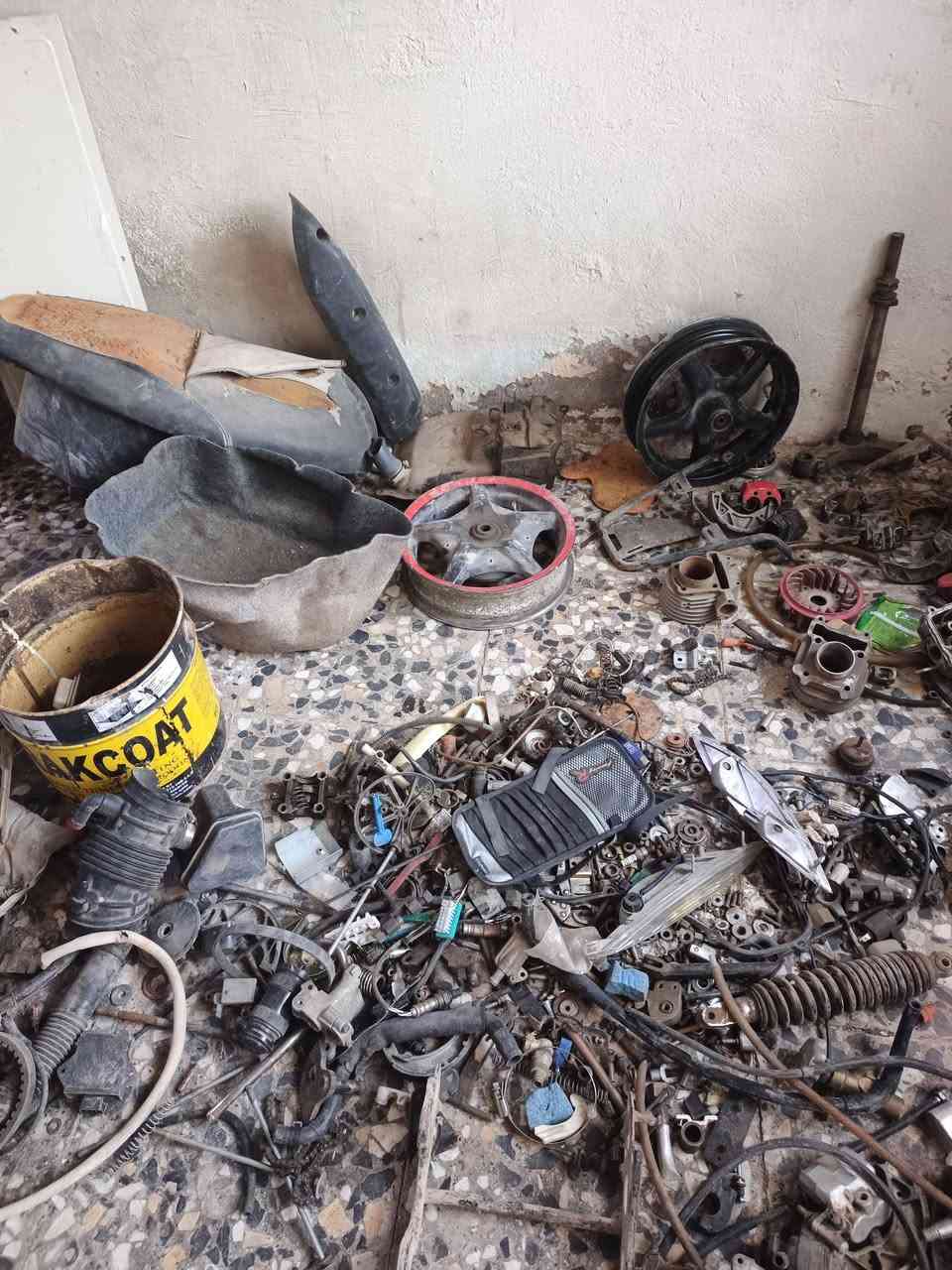 تفصيخ سكنز فحل ونثيه بغداد مدينة الصدر وهذا رقمي ***********
