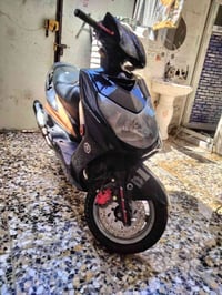 سكنس فحل • طلاعات • الشعب