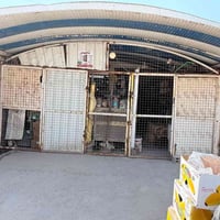 باب • سقيفه
